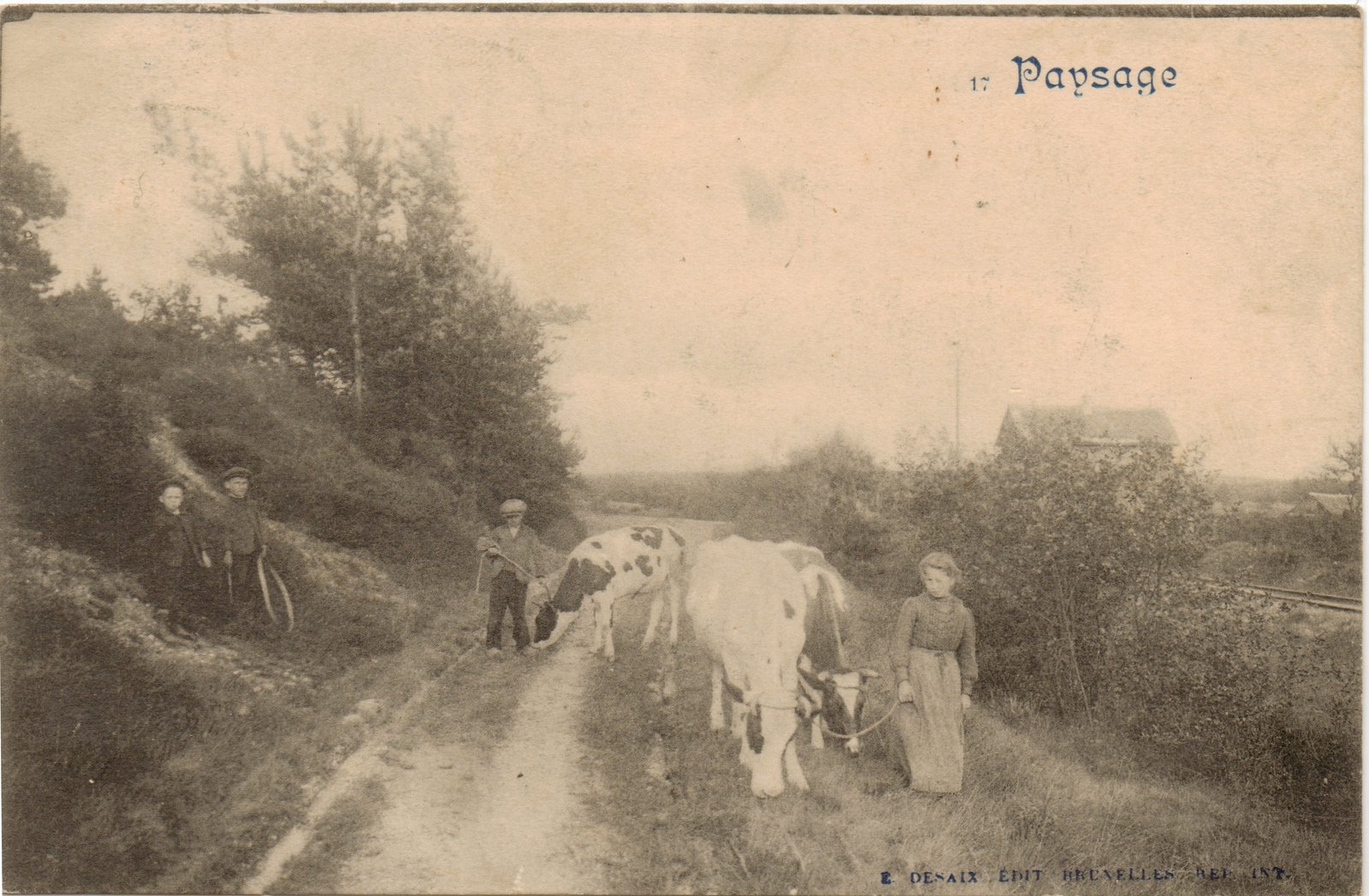 Paysage ardennais — Retour des vaches