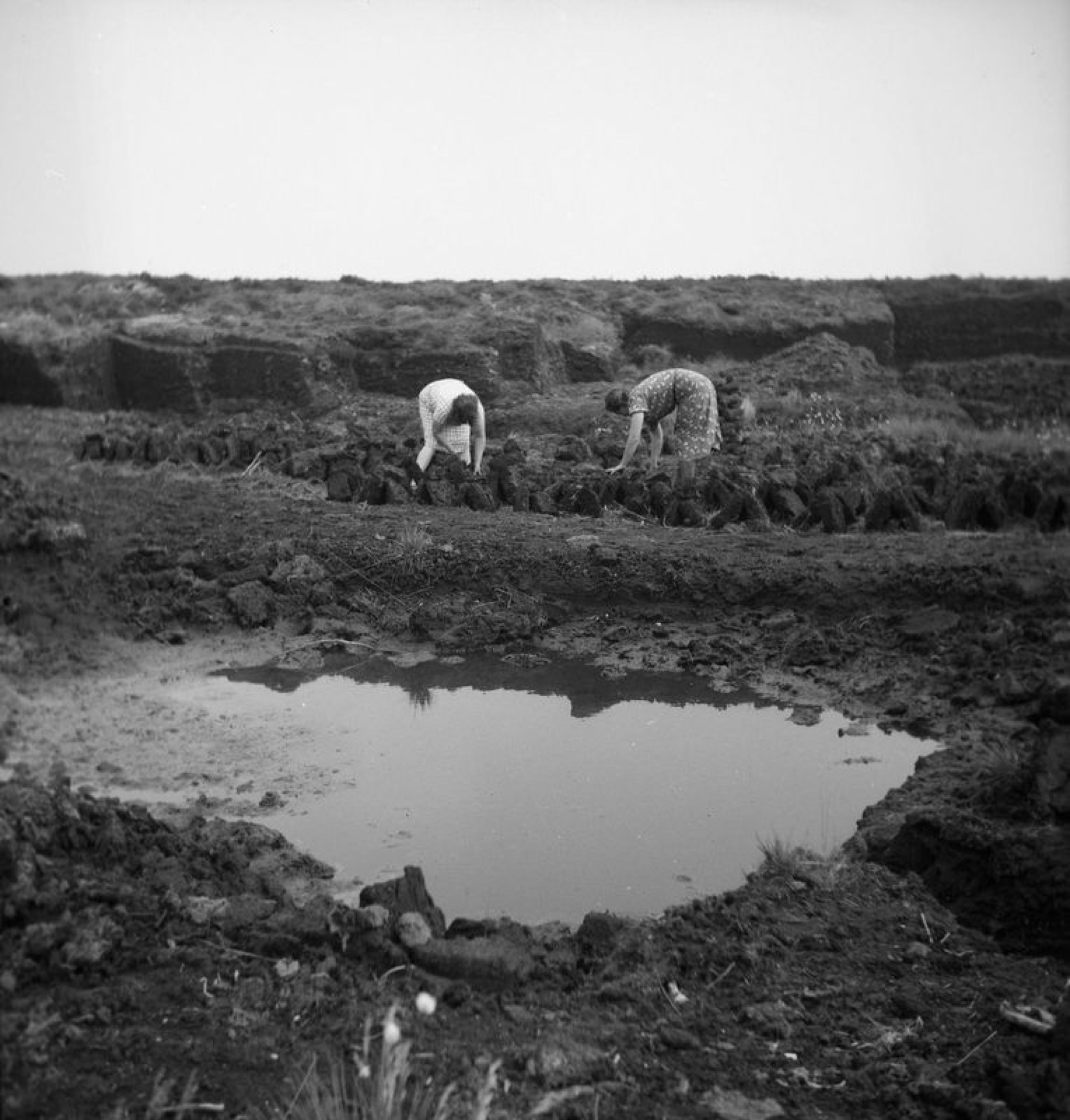 Travail dans les tourbières, 1941