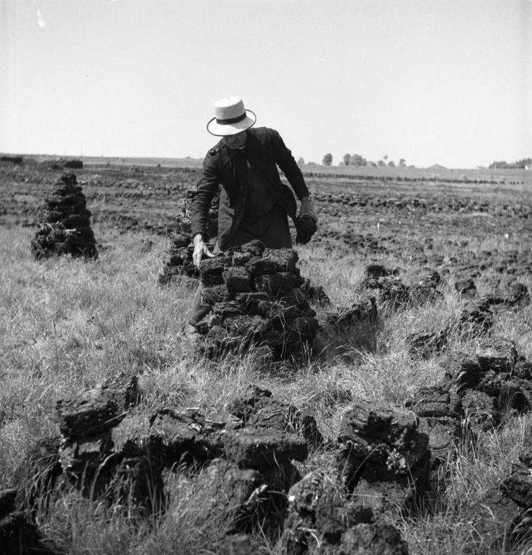 Tourbières juin 1936 2