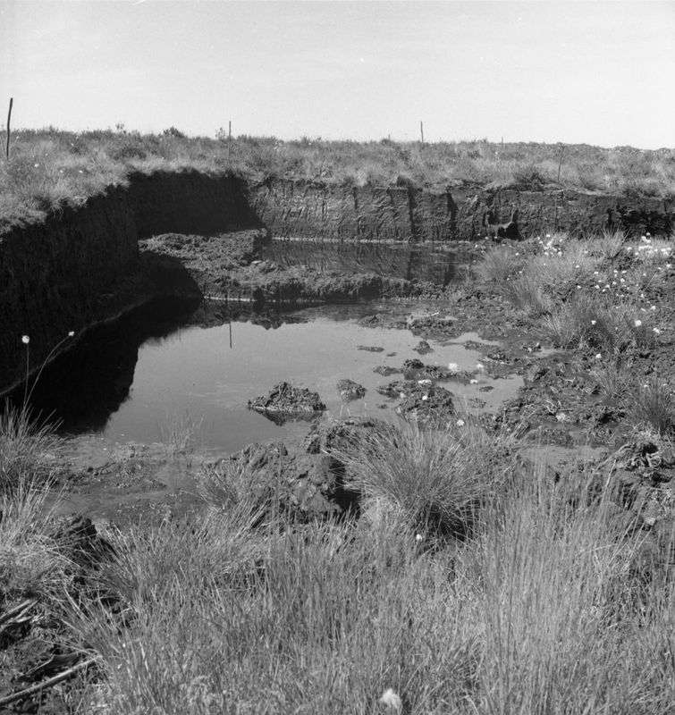 Tourbières juin 1936 3