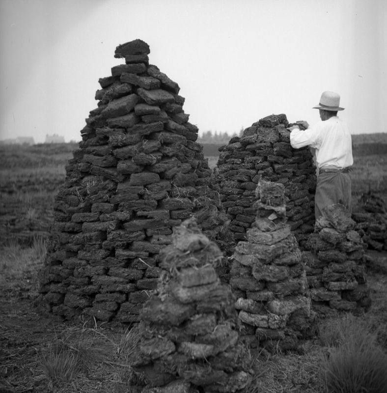 Tourbières juin 1941 2