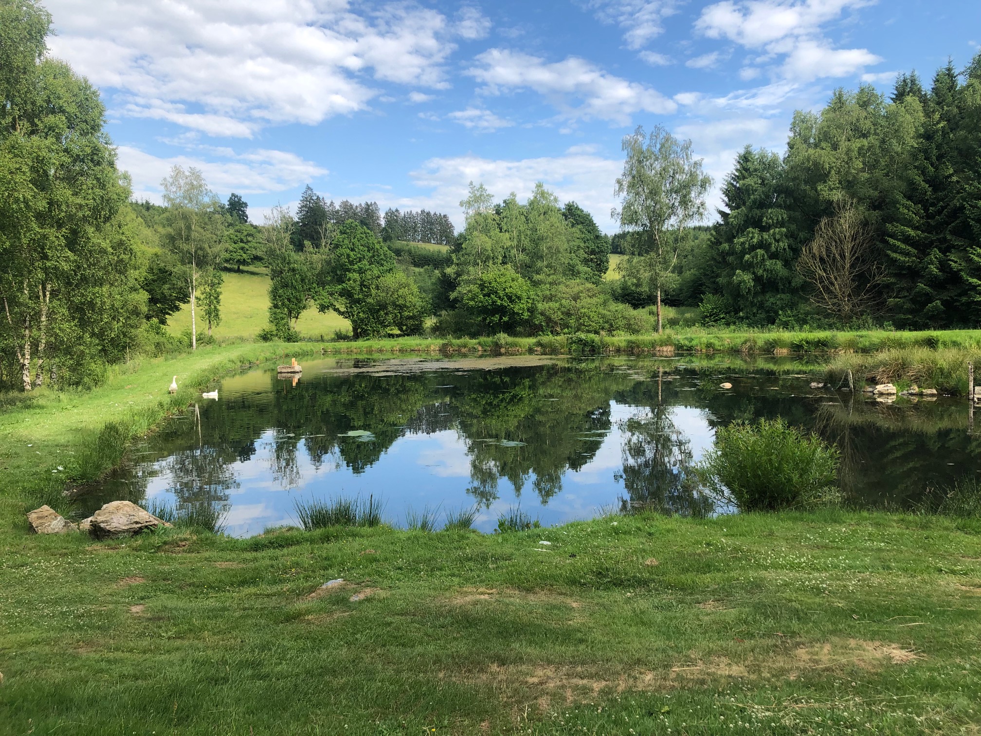 Étangs du moulin de Regné
